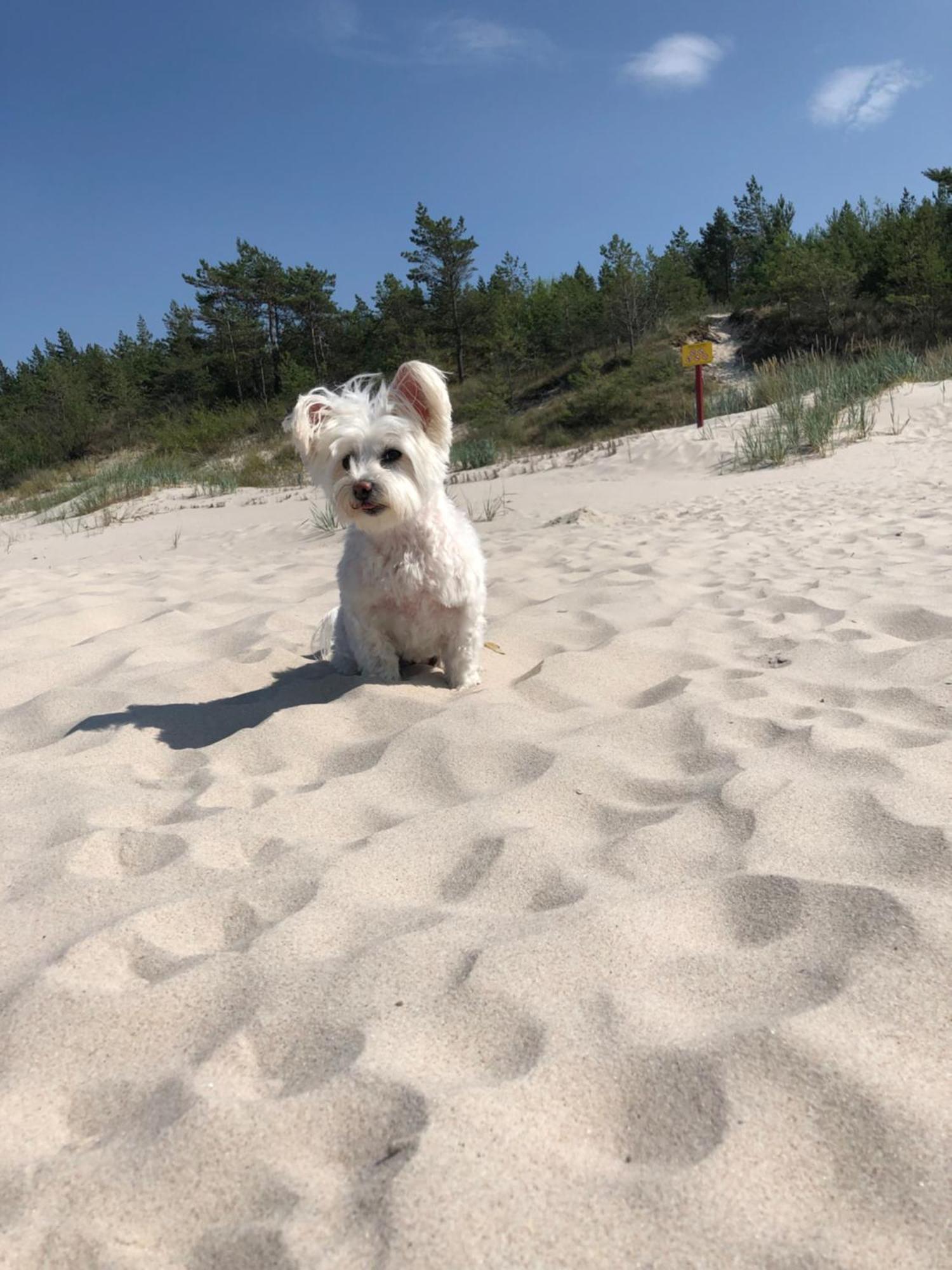 Baltic Holidays Gąski Kültér fotó