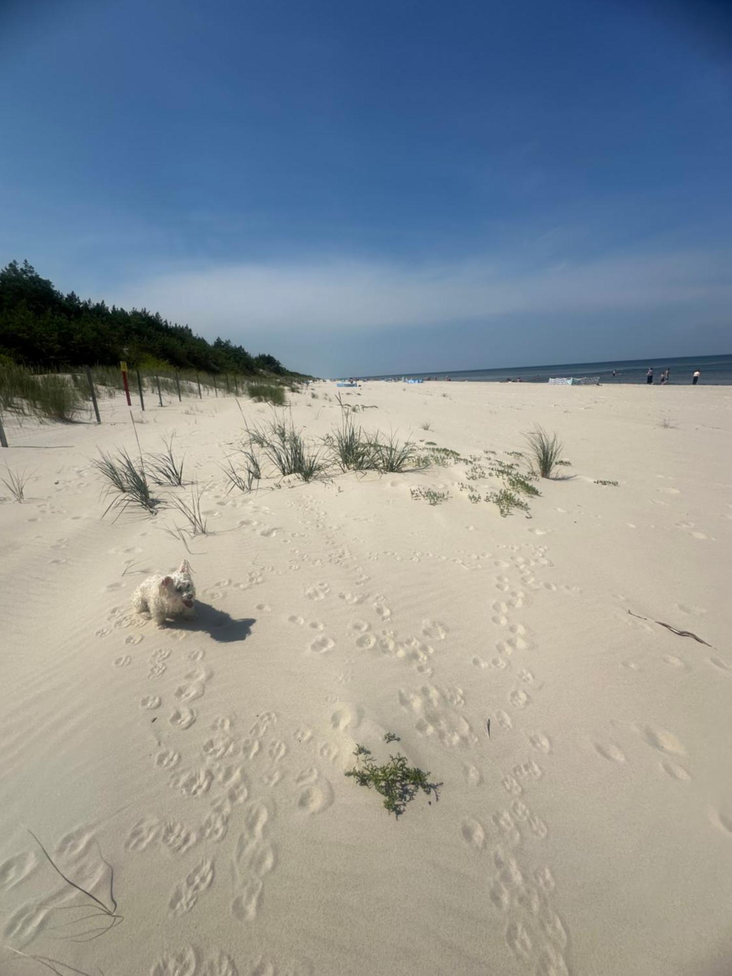Baltic Holidays Gąski Kültér fotó